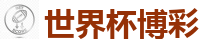 世界杯博彩_2026世界杯(FIFA WorldCUP)中国竞彩指定平台